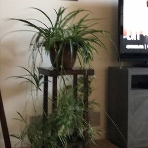 Meet your Posher, Coleen